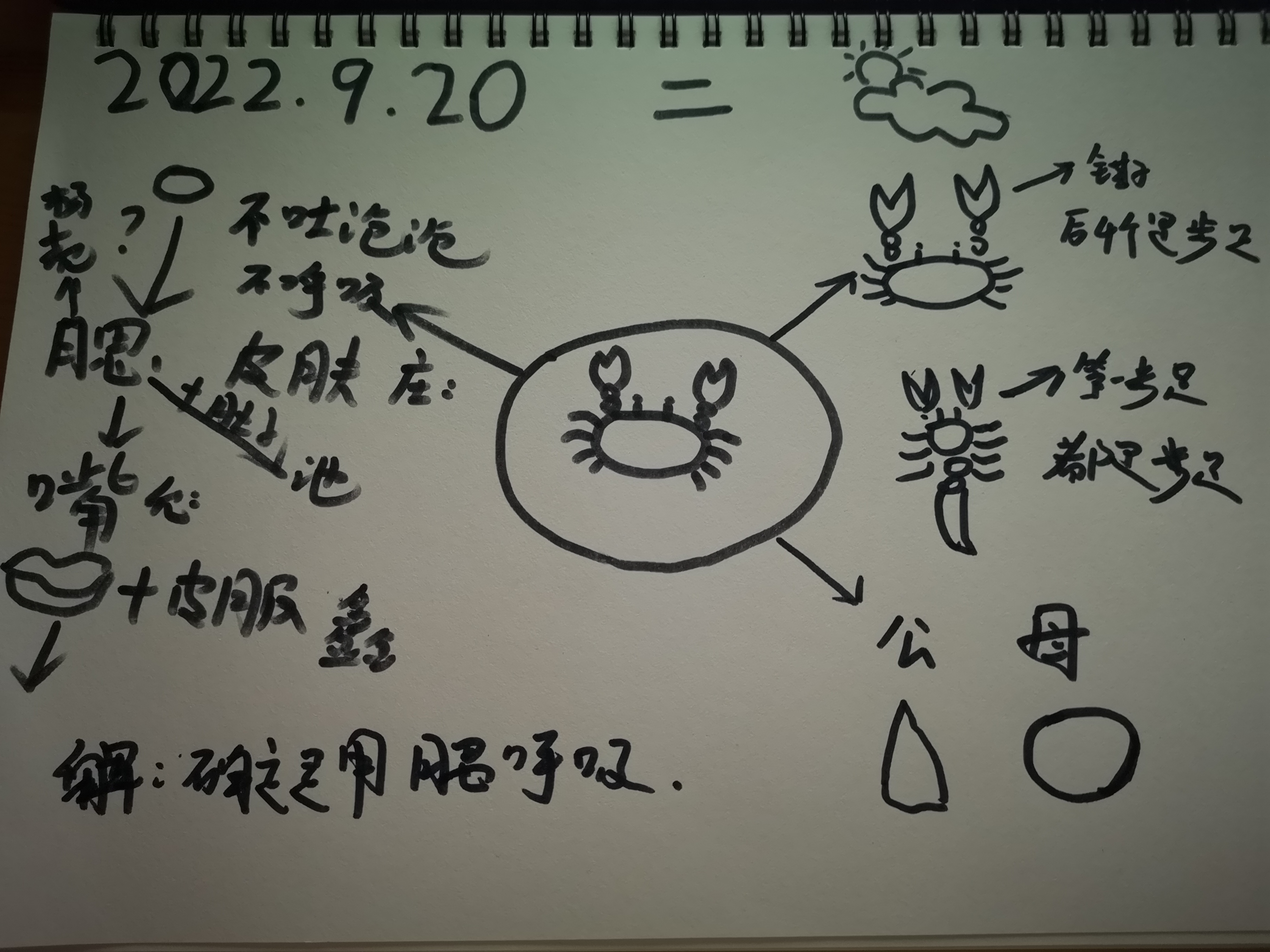 QQ图片20220926131523.jpg